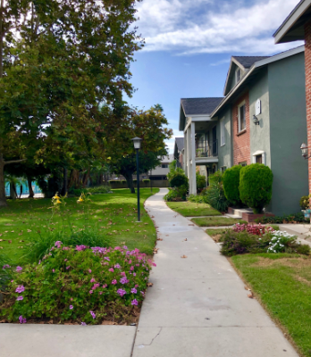 Sidewalk of neighborhood